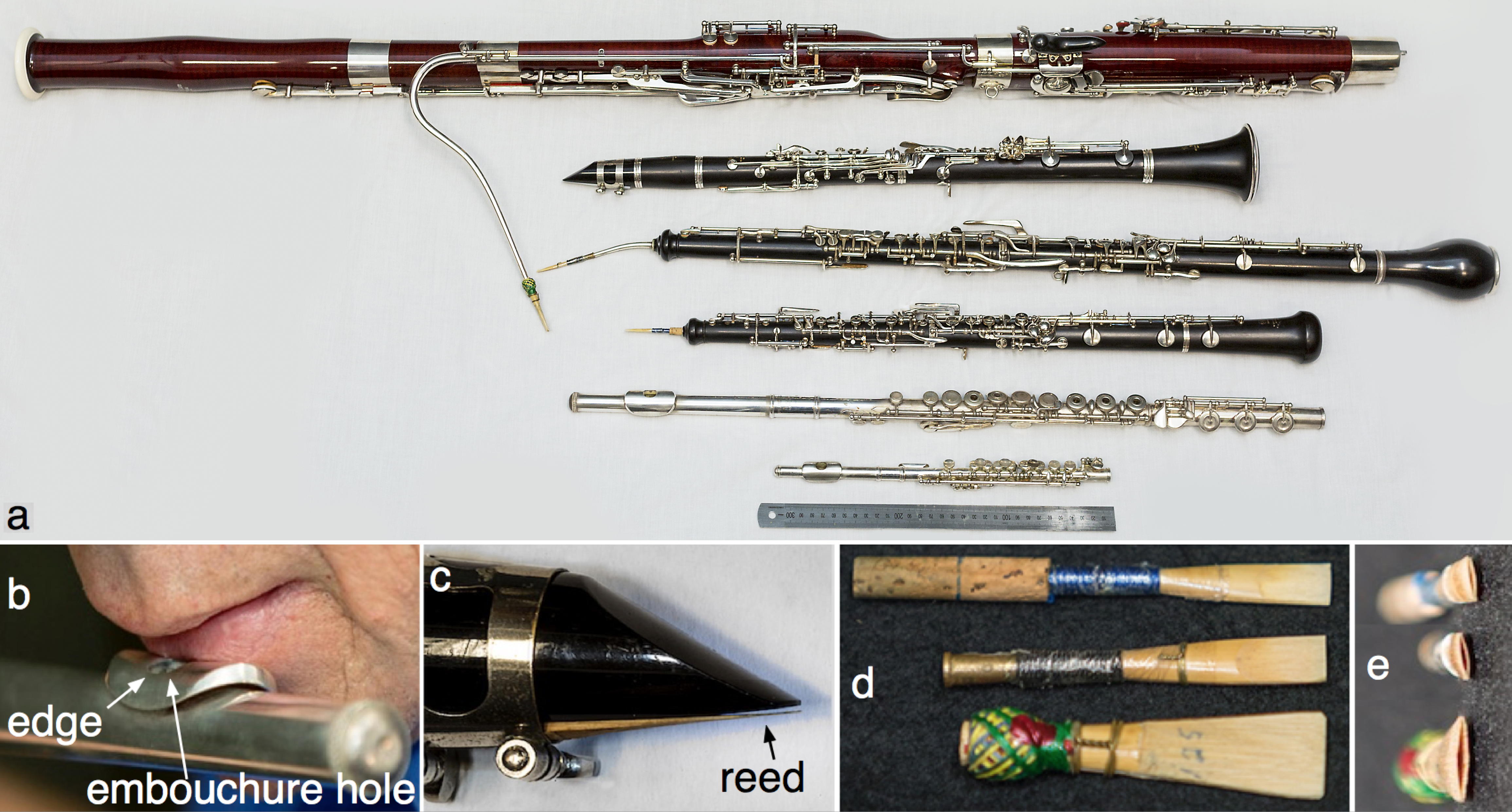 Double reed acoustics: oboe, bassoon and others