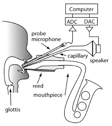 saxophone vocal tract apparatus