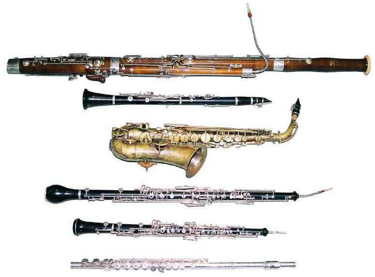 woodwind instruments look
