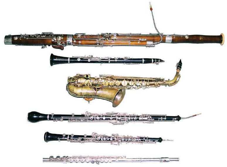 woodwinds instruments