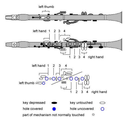 When two or three fingerings