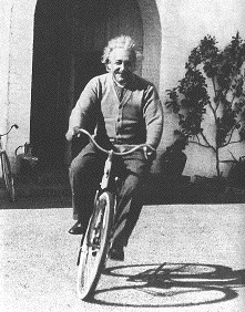 Einstein on bike