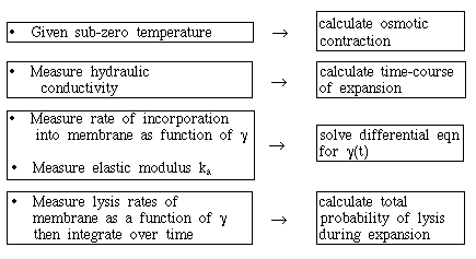 schematic of solving the survival problem