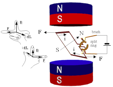 schematic of motor