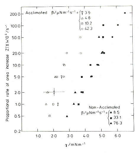 membrane area expansion rate as a function of tension