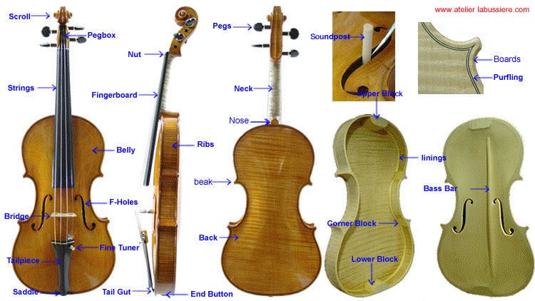 violin.jpg