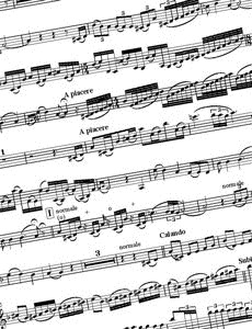 a section of the solo part from the first movement