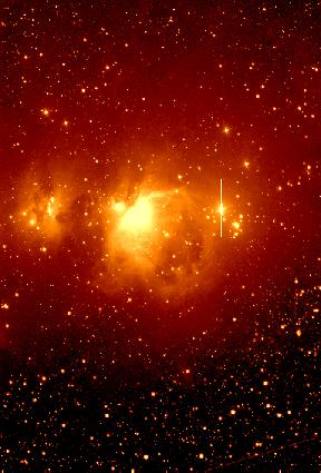 Orion