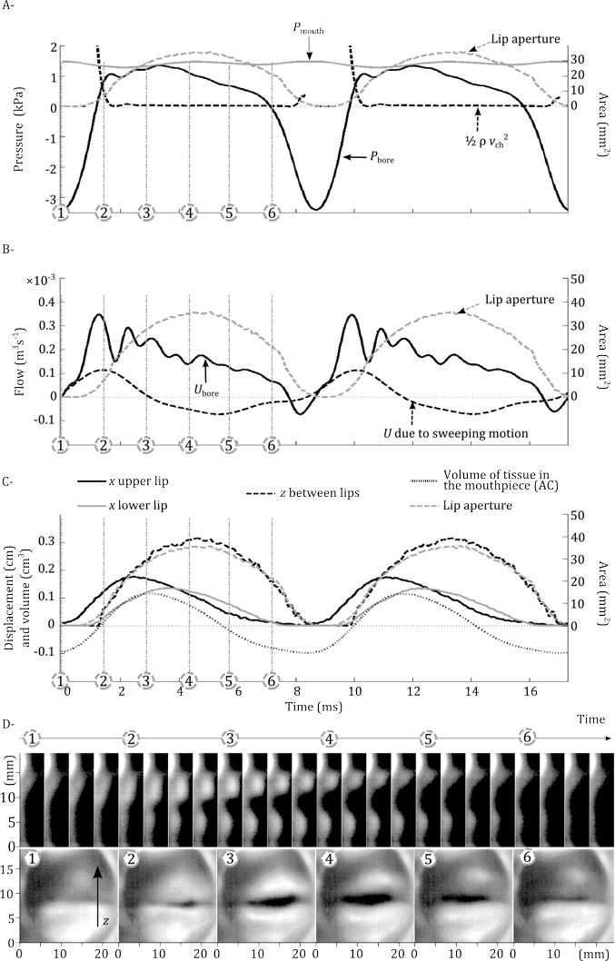 graphs of Lip motion, pressures and flows