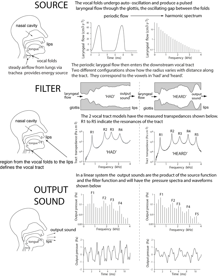 measured source filter diagram