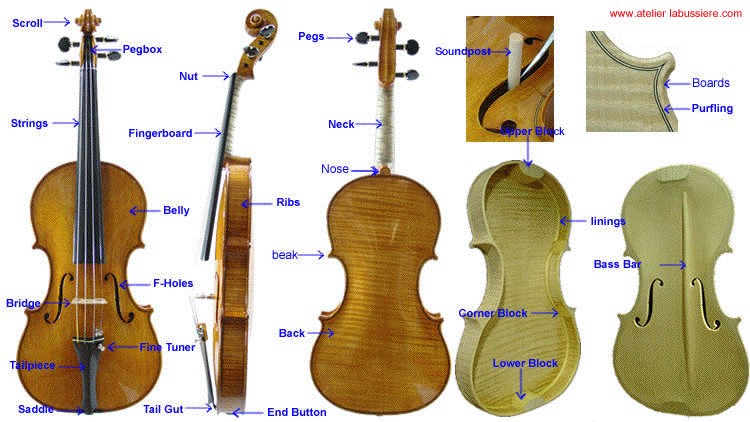 diagram showing names of violin components