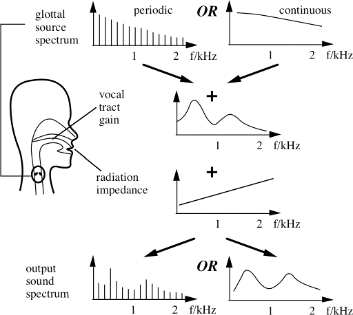 schematic of the source filter model