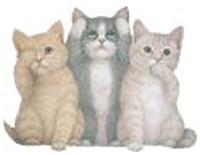 Gattini
